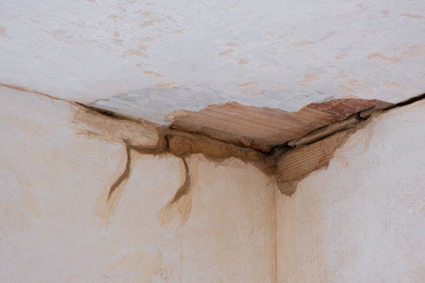 Best Residential water damage restoration  in Spring Green, WI